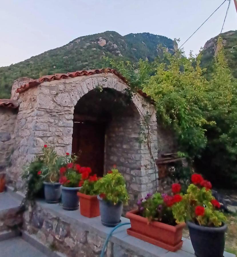 Ανεξαρτητο Studio Στο Ομορφο Καστορειο Kastorion Dış mekan fotoğraf